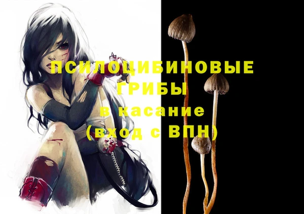 соль курить ск Медвежьегорск